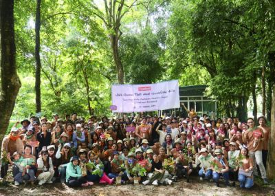 The Sustainable Forestation Project Year 2